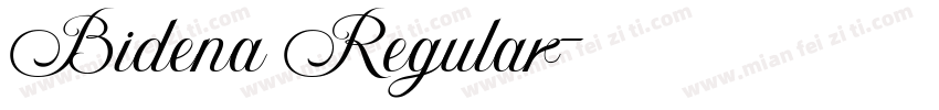 Bidena Regular字体转换